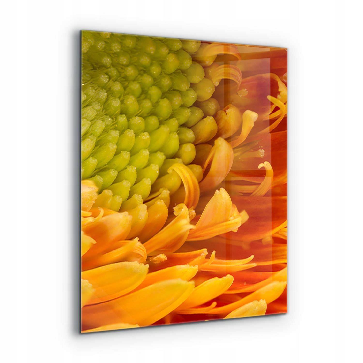 Kuchynský Lacobel lepidlo Gerbera Oranžový kvet