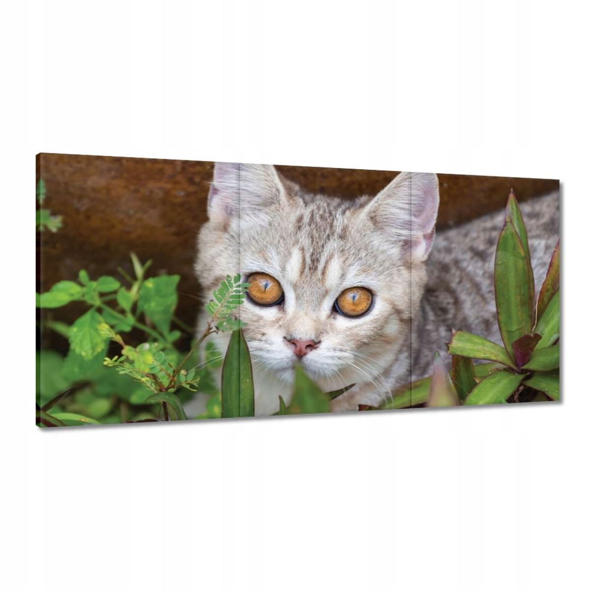 Obrazy 180x90 Mačka Mačky