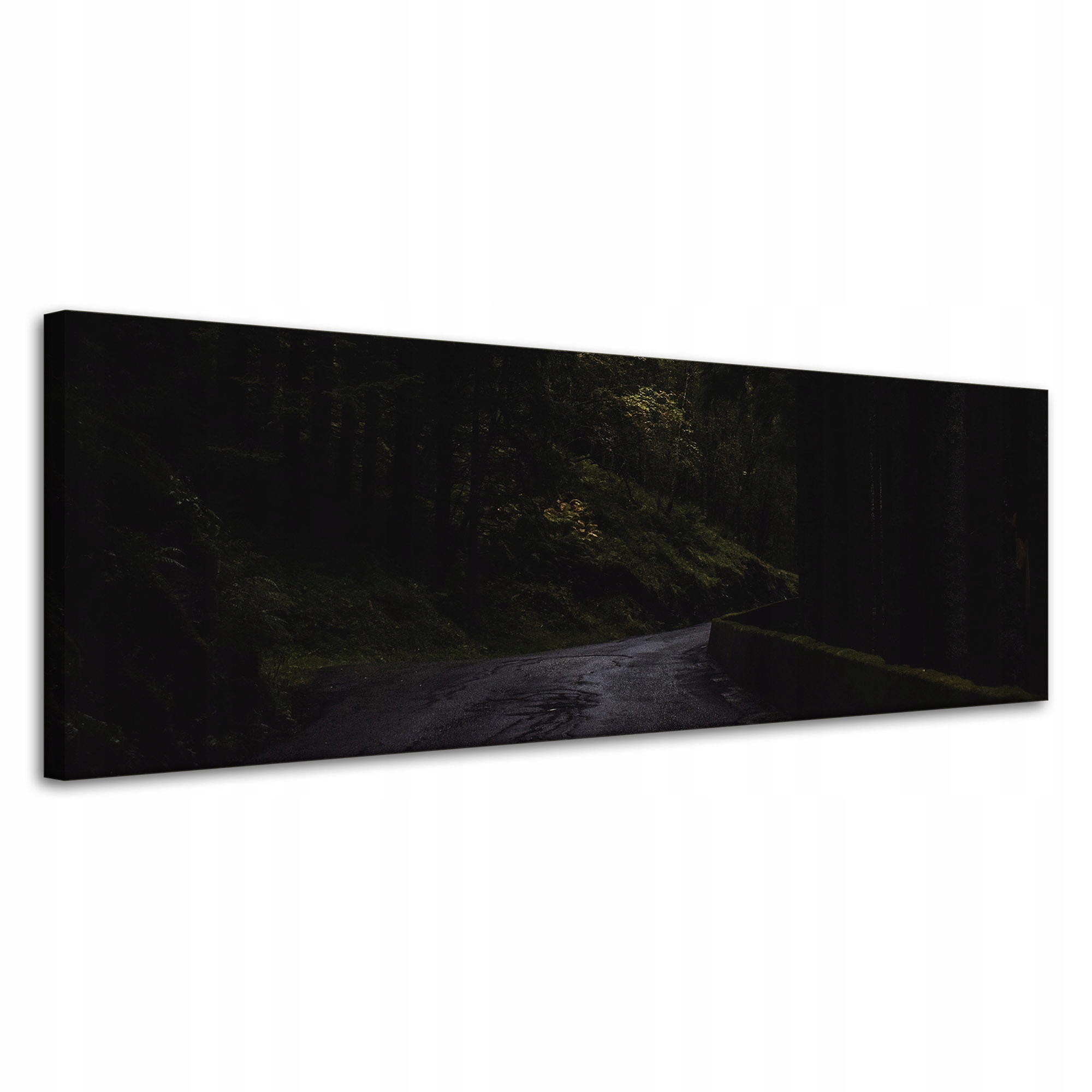 Obraz Canvas Příroda Temná horská cesta 120x40 cm