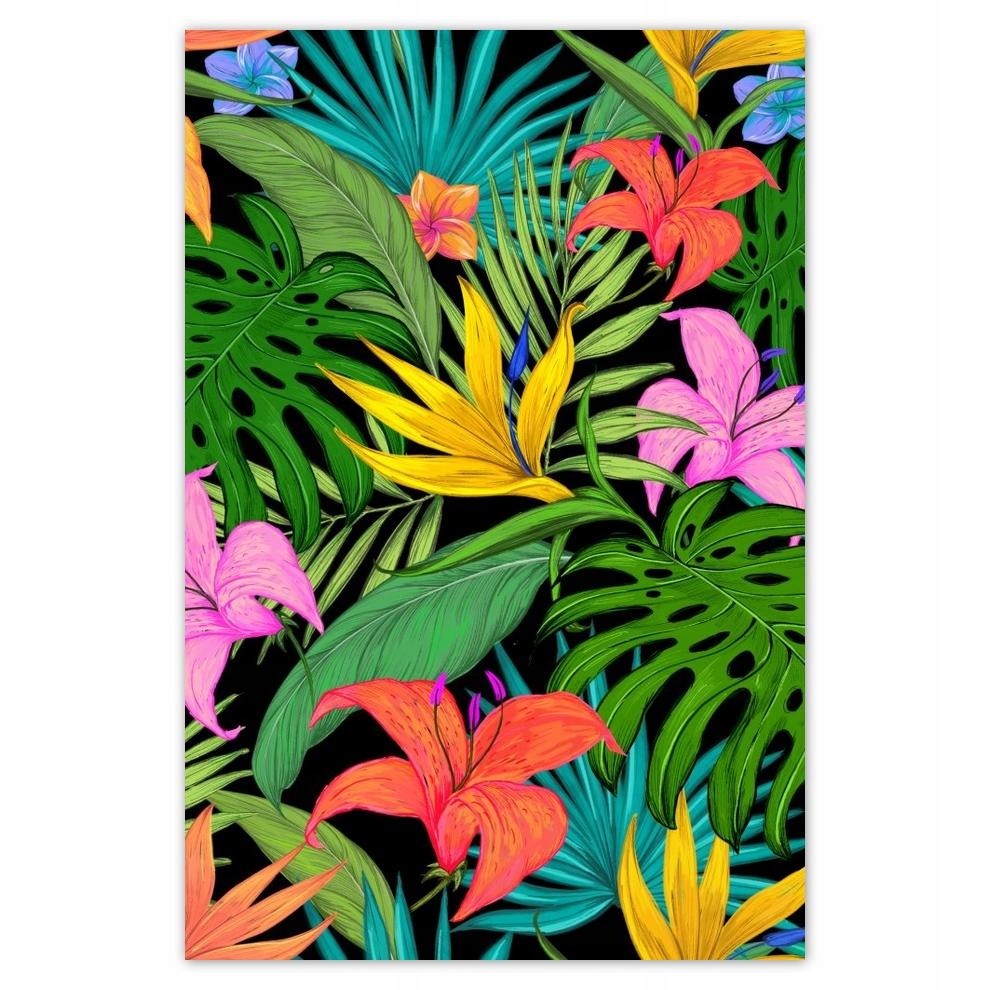 

Plakaty 40x60 Liście Monstery Listki