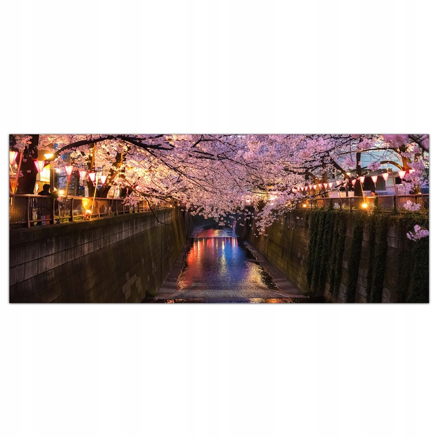 

Obraz na szkle Foto Wiśnia Japonia Kwiaty 125x50