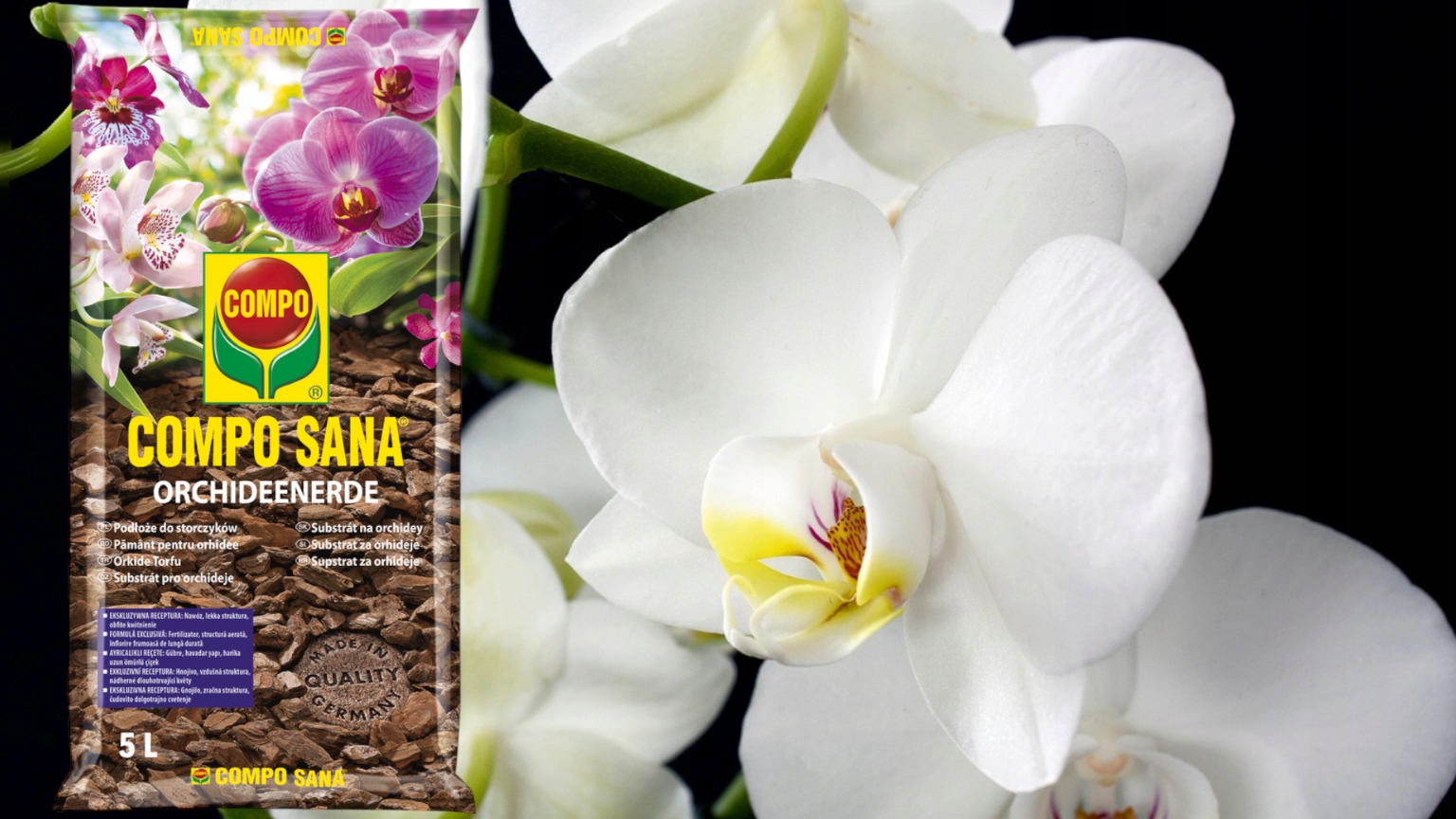 PODŁOŻE ZIEMIA DO STORCZYKÓW ORCHIDEI PROFESJONALNE COMPO SANA 5L LEKKIE Rodzaj ziemia uprawna
