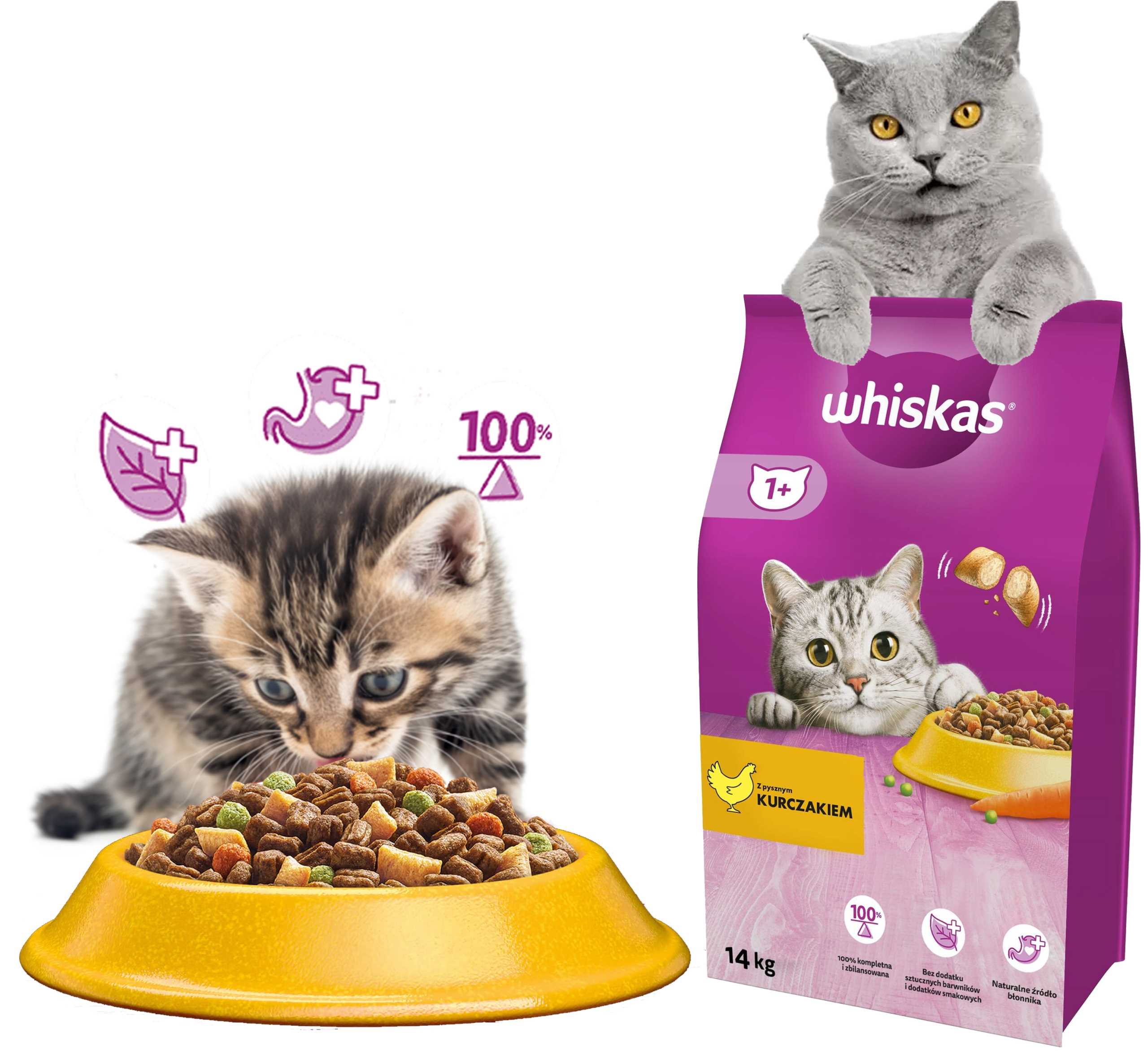 Levně Whiskas Suché Krmivo Pro Kočky S Kuřecím Masem Krmivo Pro Kočky Drůbež 14 Kg