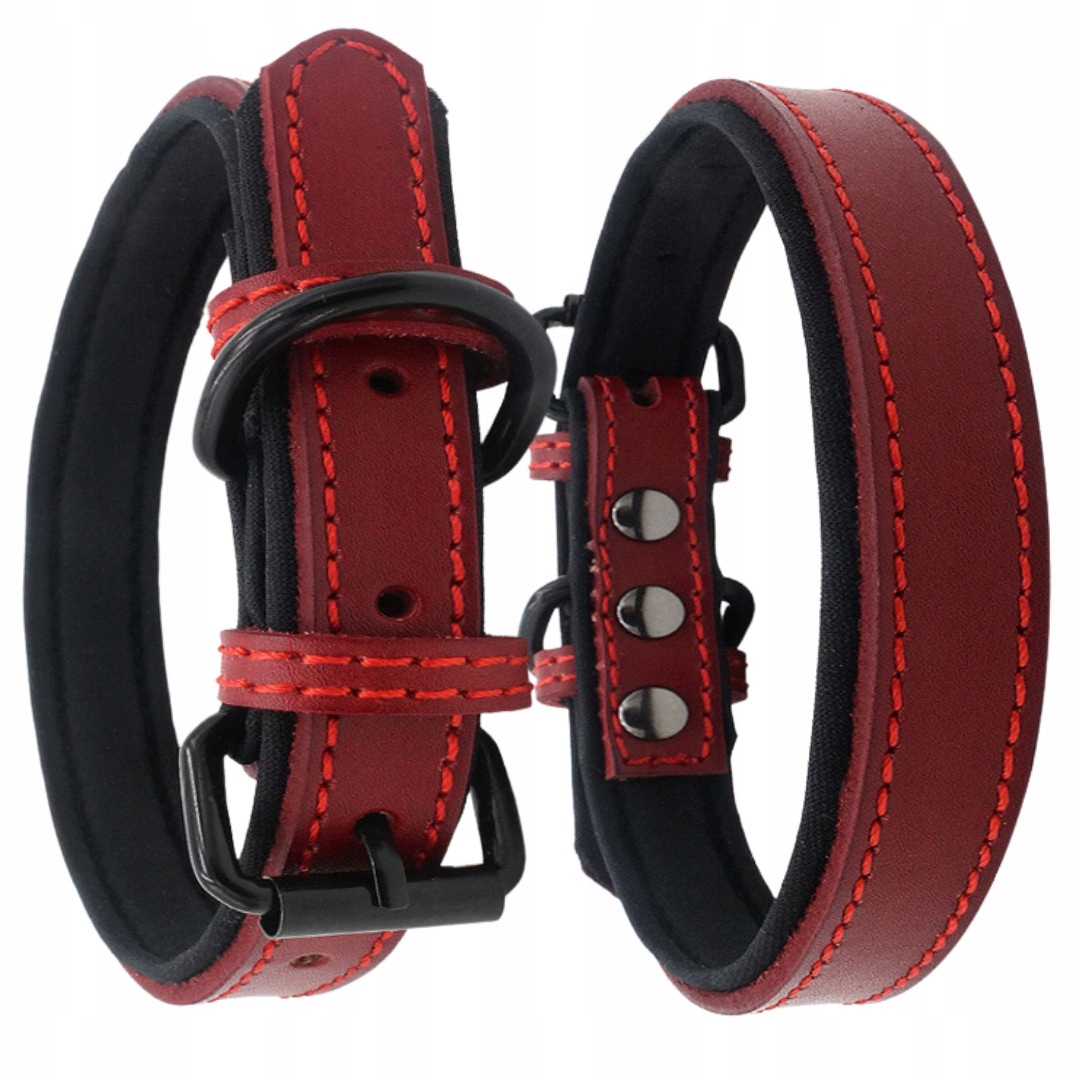 

Petstory Obroża dla Psa z Regulacją r. L 33-43 cm