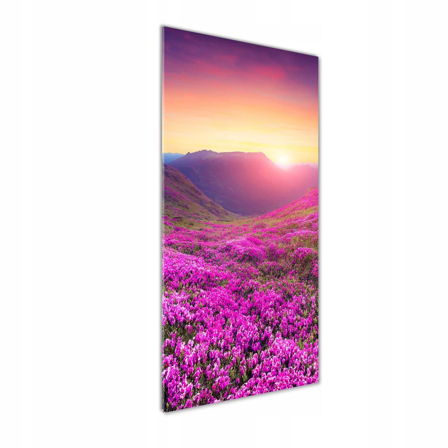 

Foto obraz szkło akrylowe Góry rododendron 50x125