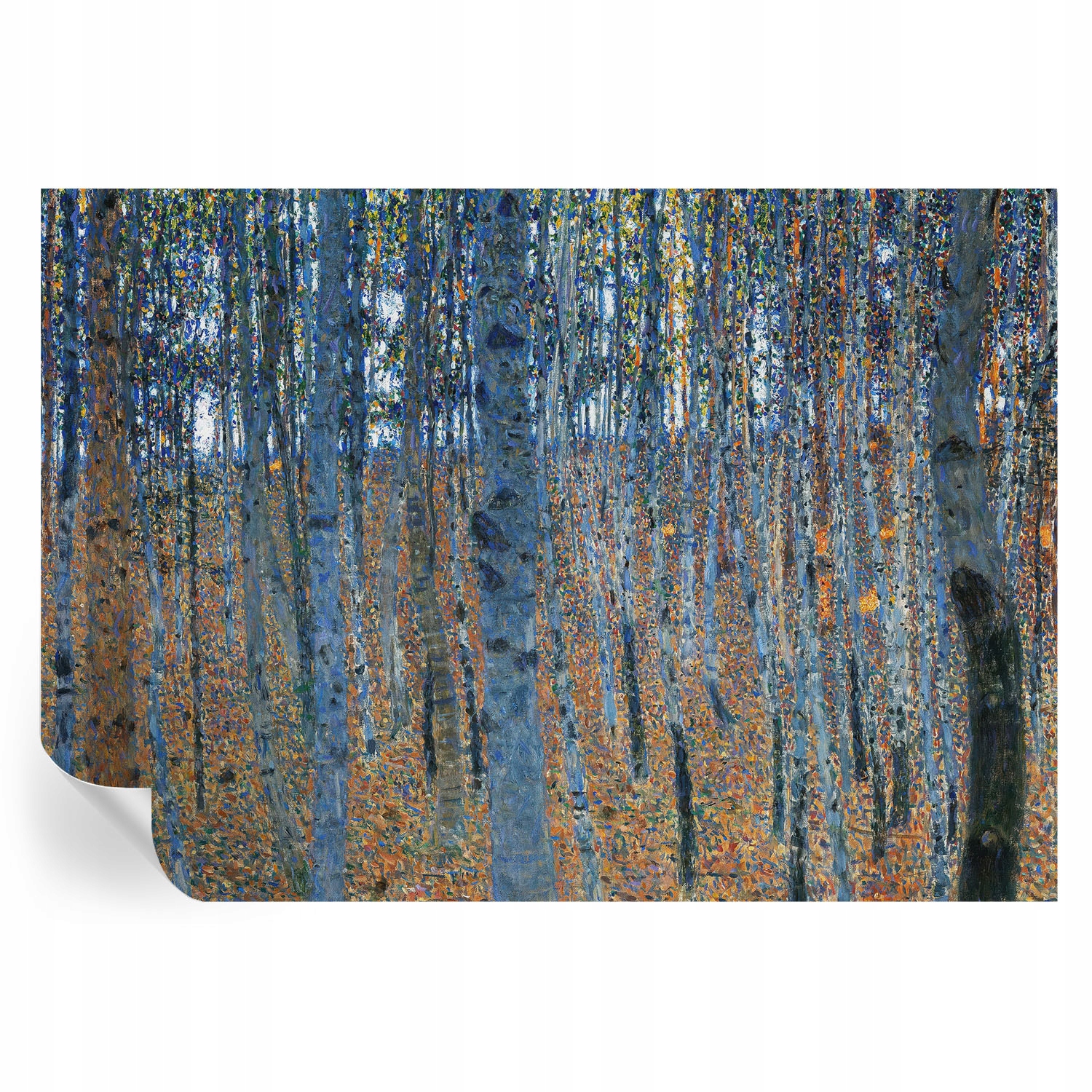Dizajnová fototapeta na stenu Samolepiaca Brezový les 208x146 cm