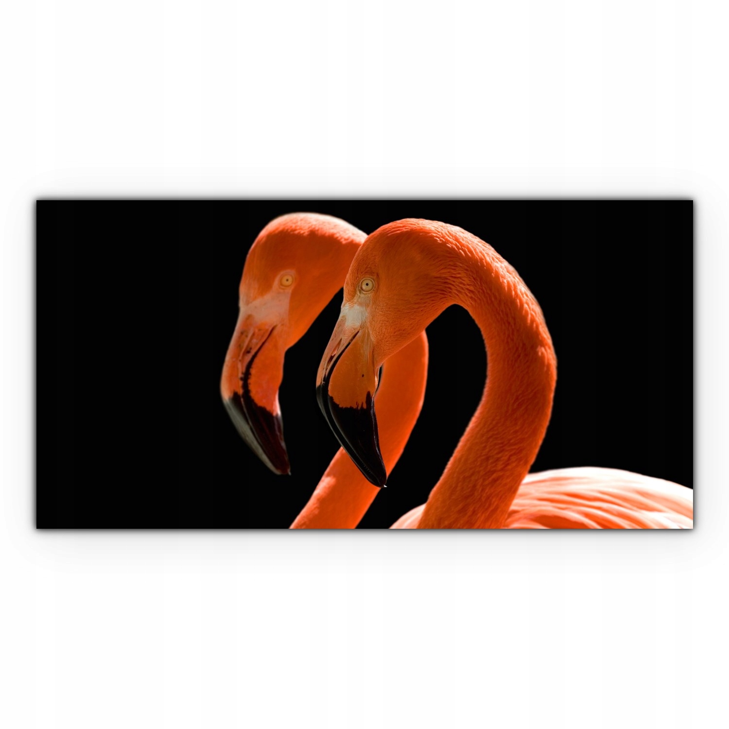 

Obraz canvas na ścianę 120x60 Flaming Ptak Zwierzę