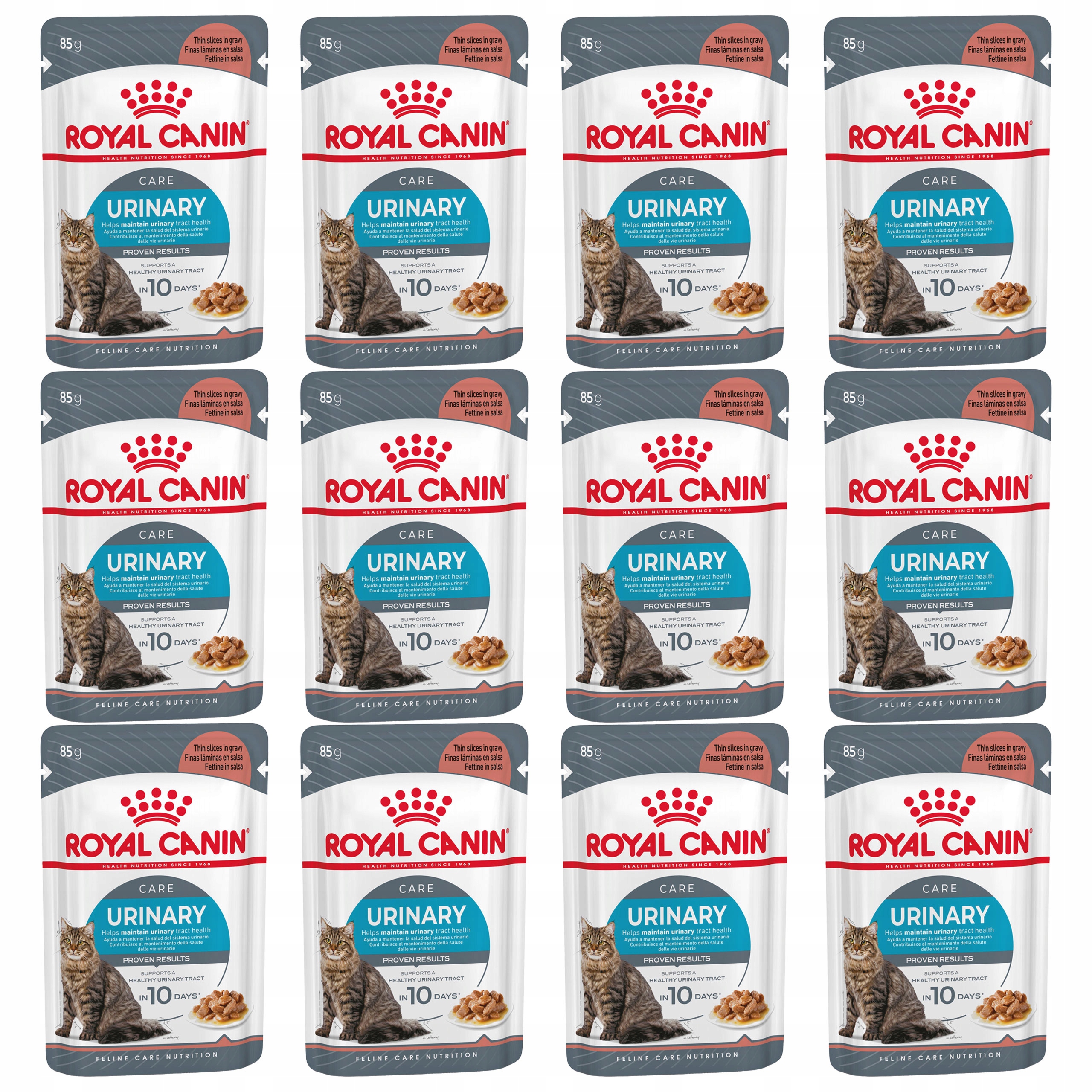 Vlhké Krmivo Royal Canin Urinary Care v omáčce 85g 12 ks