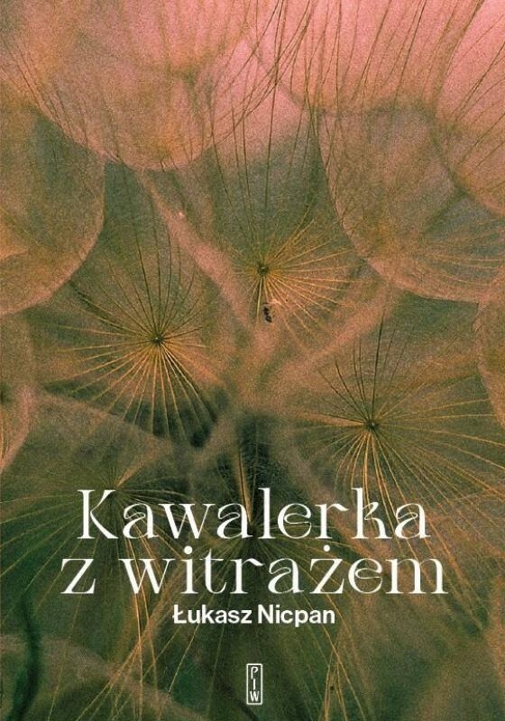 Kawalerka Z Witrażem Łukasz Nicpan