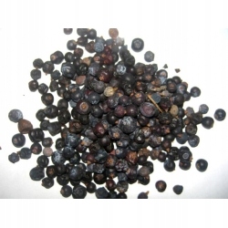 Levně Jalovec plod 1 kg Rafex