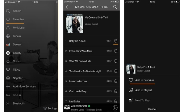 Triangle AIO C Odtwarzacz sieciowy Tidal Spotify Multiroom Wi-Fi Kolor srebrny