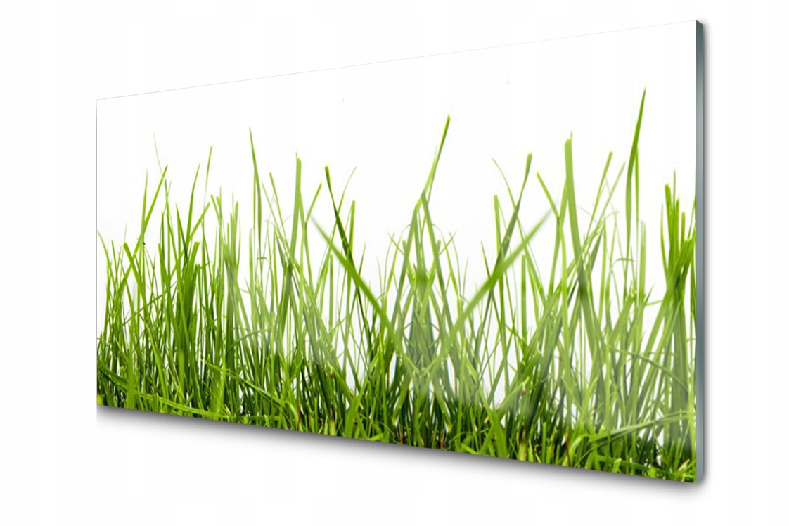 

Panel szklany Płytka Trawa Natura 100x50