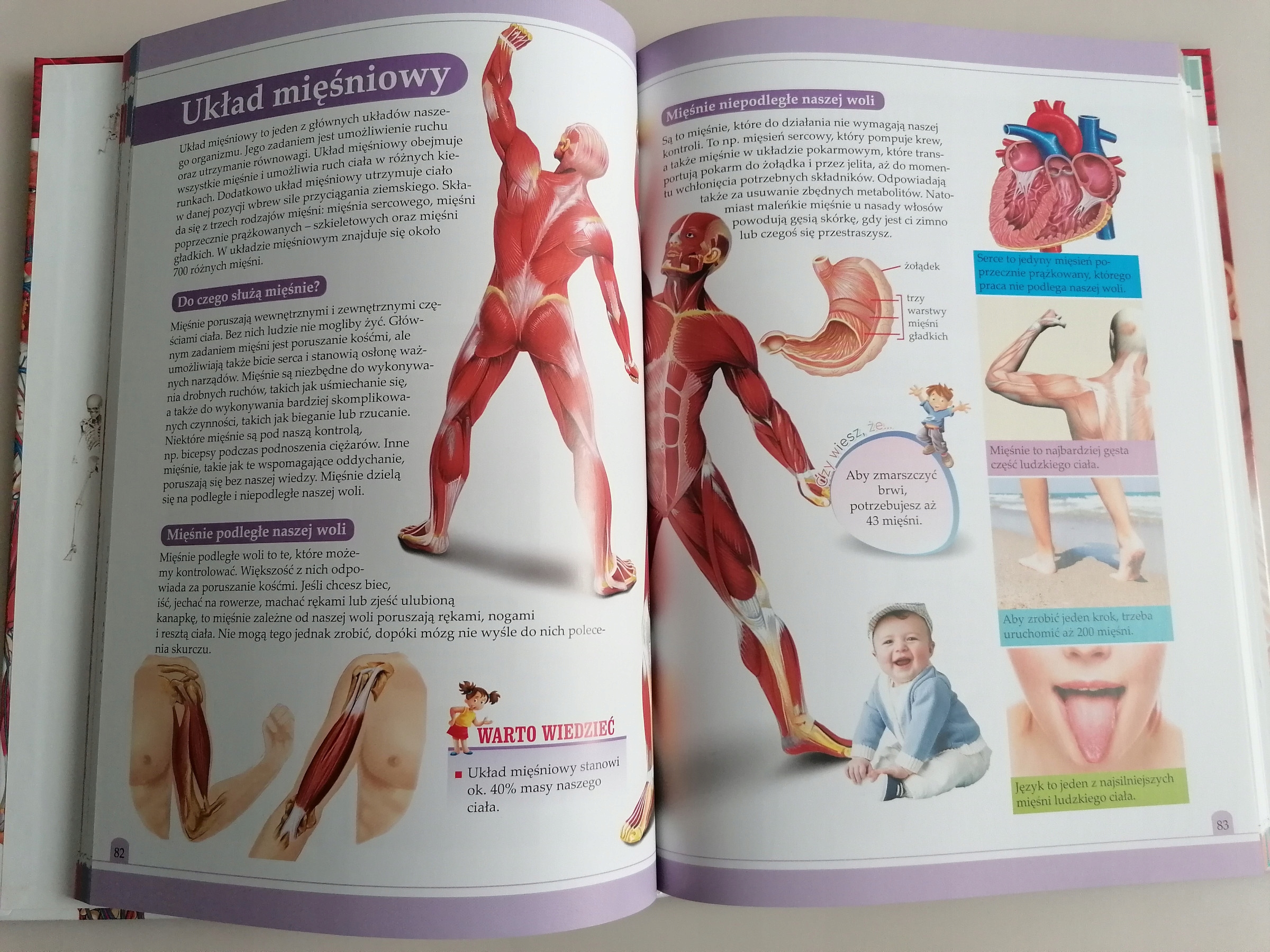 ENCYKLOPEDIA CIAŁO CZŁOWIEKA Części ciała, Zmysły Arystoteles Autor Praca zbiorowa