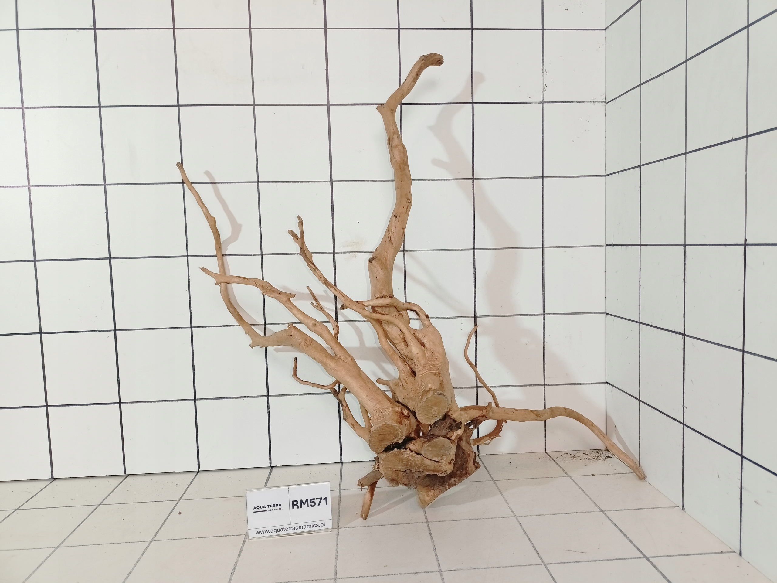 Korzeń Japoński Do Akwarium Terrarium Red Moor RM571 (to co na zdjęciu)