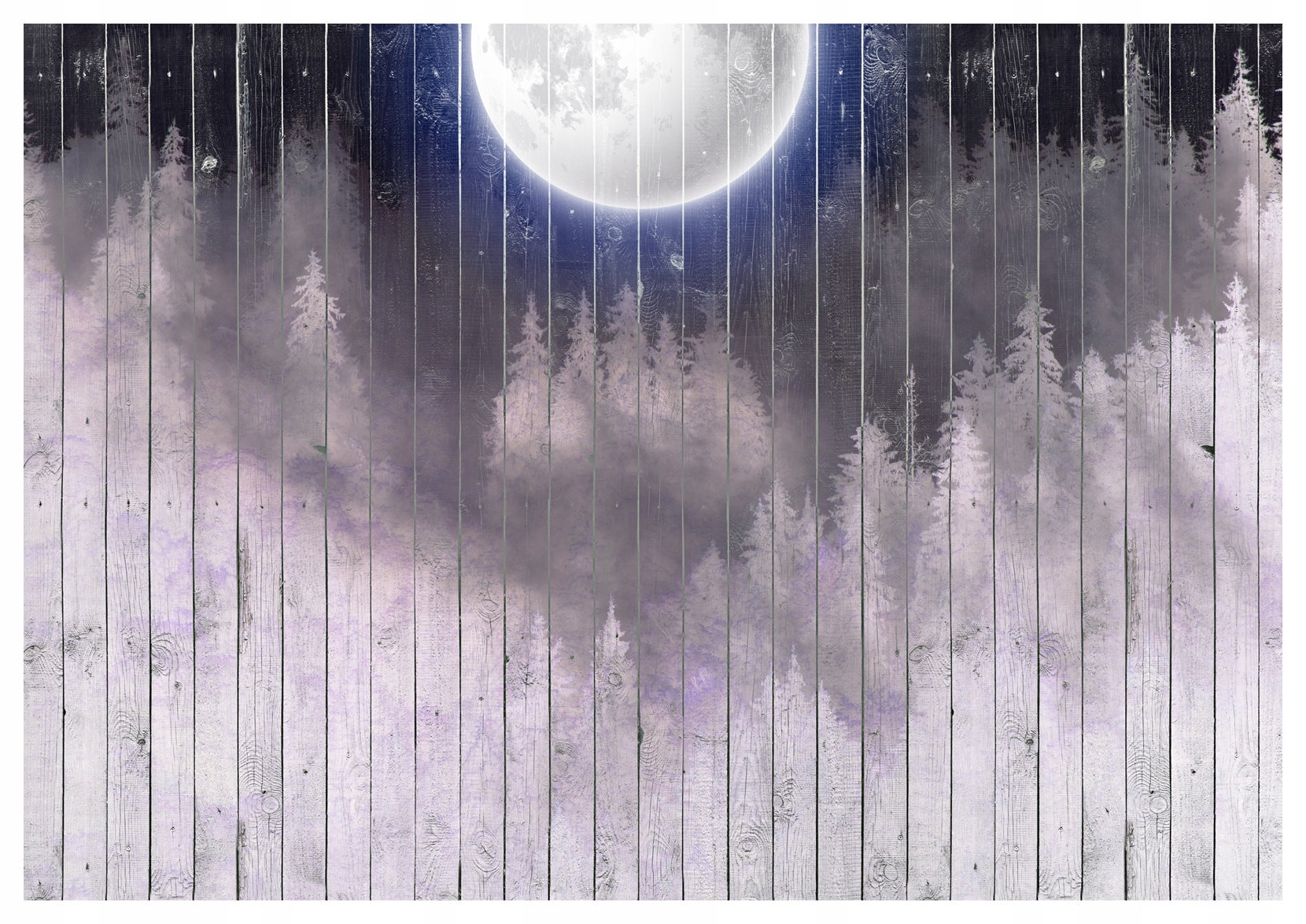 Vinylová fototapeta Měsíční noc v borovém lese 254x184 lepidlo