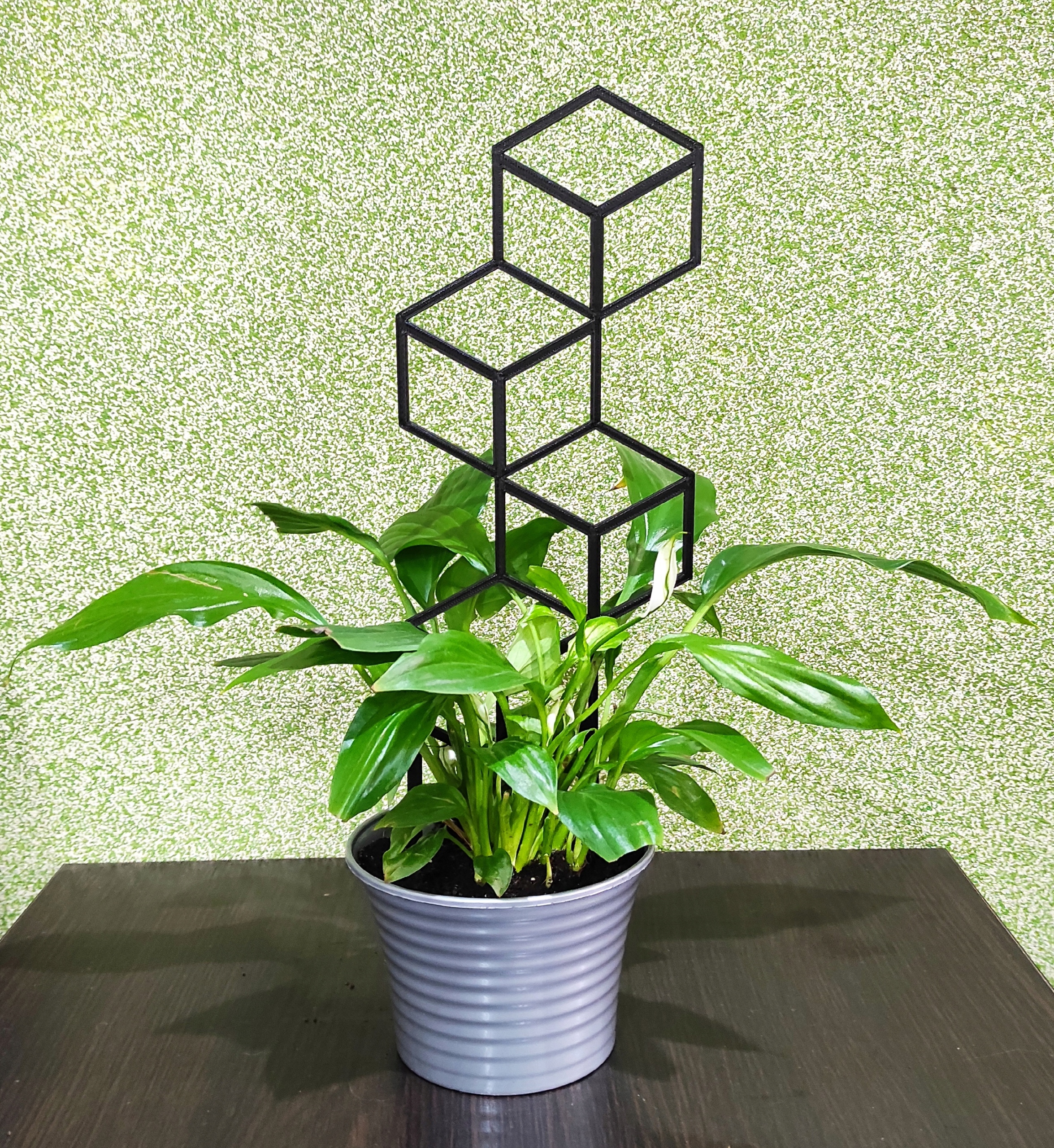 PODPÓRKA KWIATÓW ROŚLIN DRABINKA PERGOLA 19cm Rodzaj drabinka