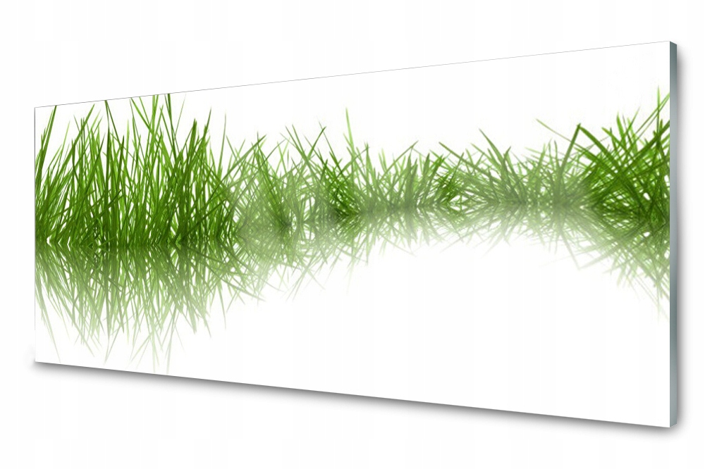 

Panel szklany do kuchni Trawa Roślina 125x50