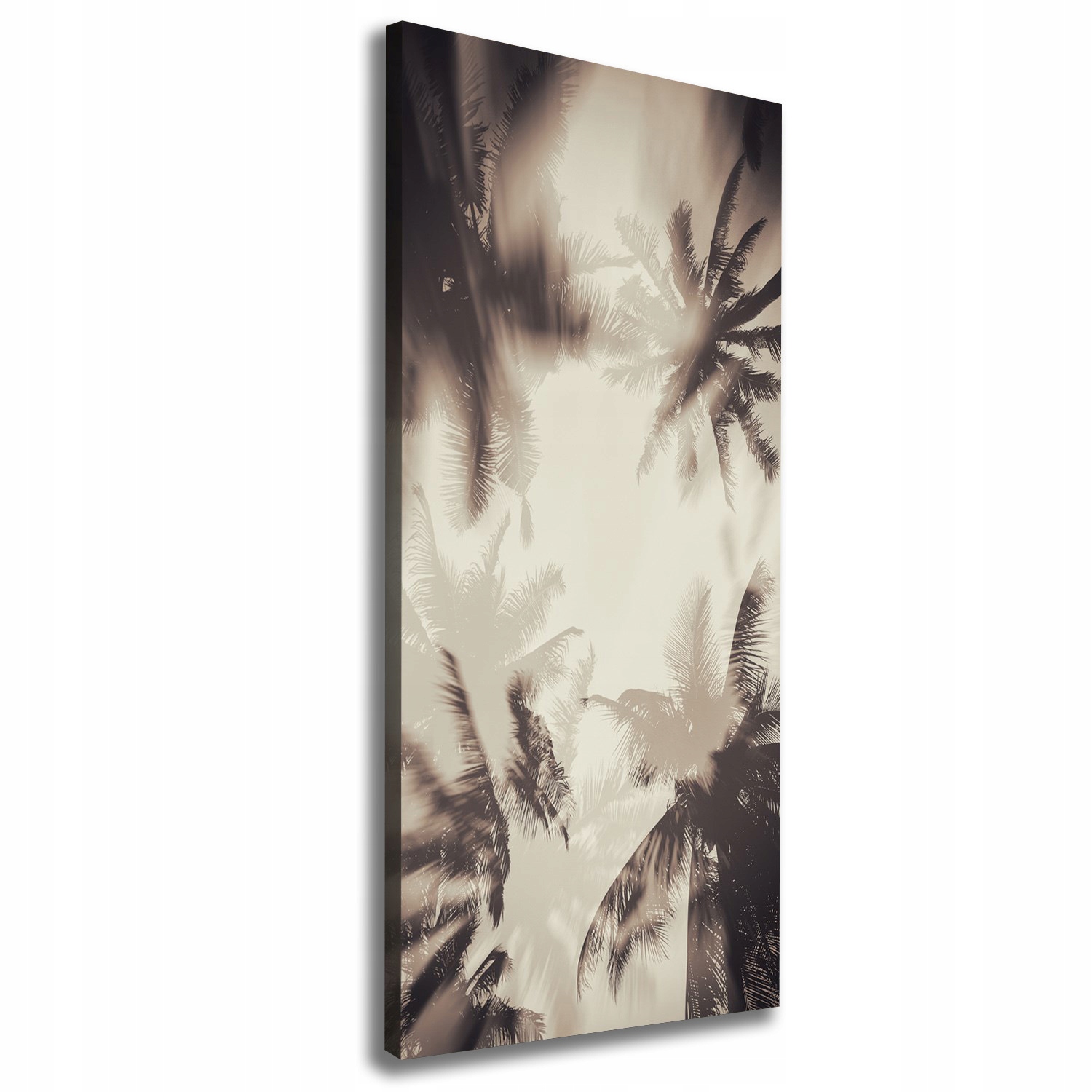 

Foto-obraz zdjęcie na płótnie Palmy 50x125 cm