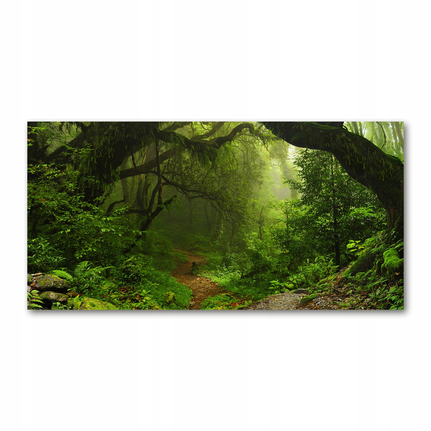 

Foto obraz szklany Dżungla w Nepalu 140x70