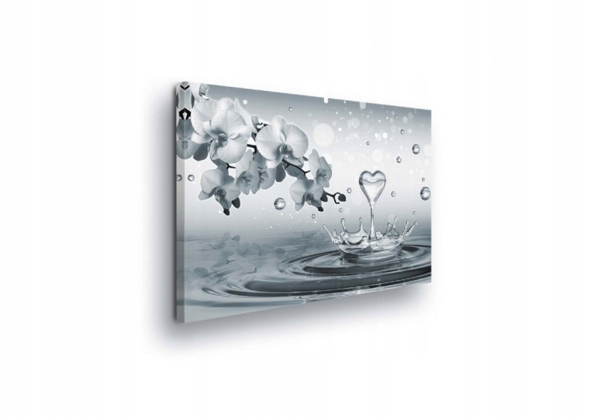 Obraz 80x60 Voda stříkající srdce orchidej čistota příroda klid