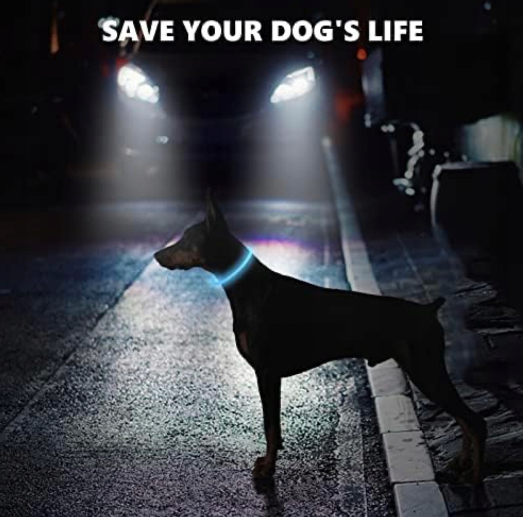 Levně Led Svítící Obojek Pro Psa Velký, 70 CM, Nabíjecí, Voděodolná, Reflexní!