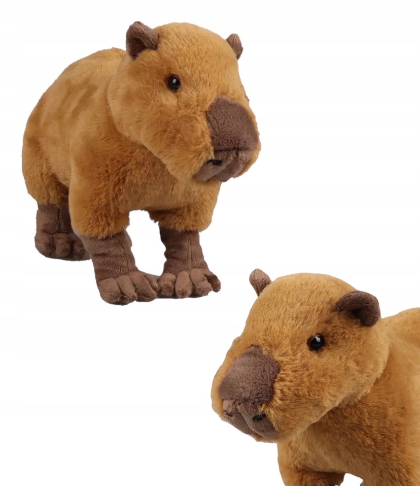 PLUSZAK KAPIBARA CAPYBARA MASKOTKA DLA DZIECI 30CM EAN (GTIN) 3076692831816