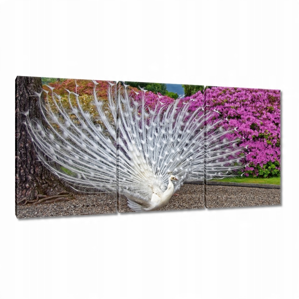 

Obrazy 120x60 Ptaki Ptaszki Ptactwo