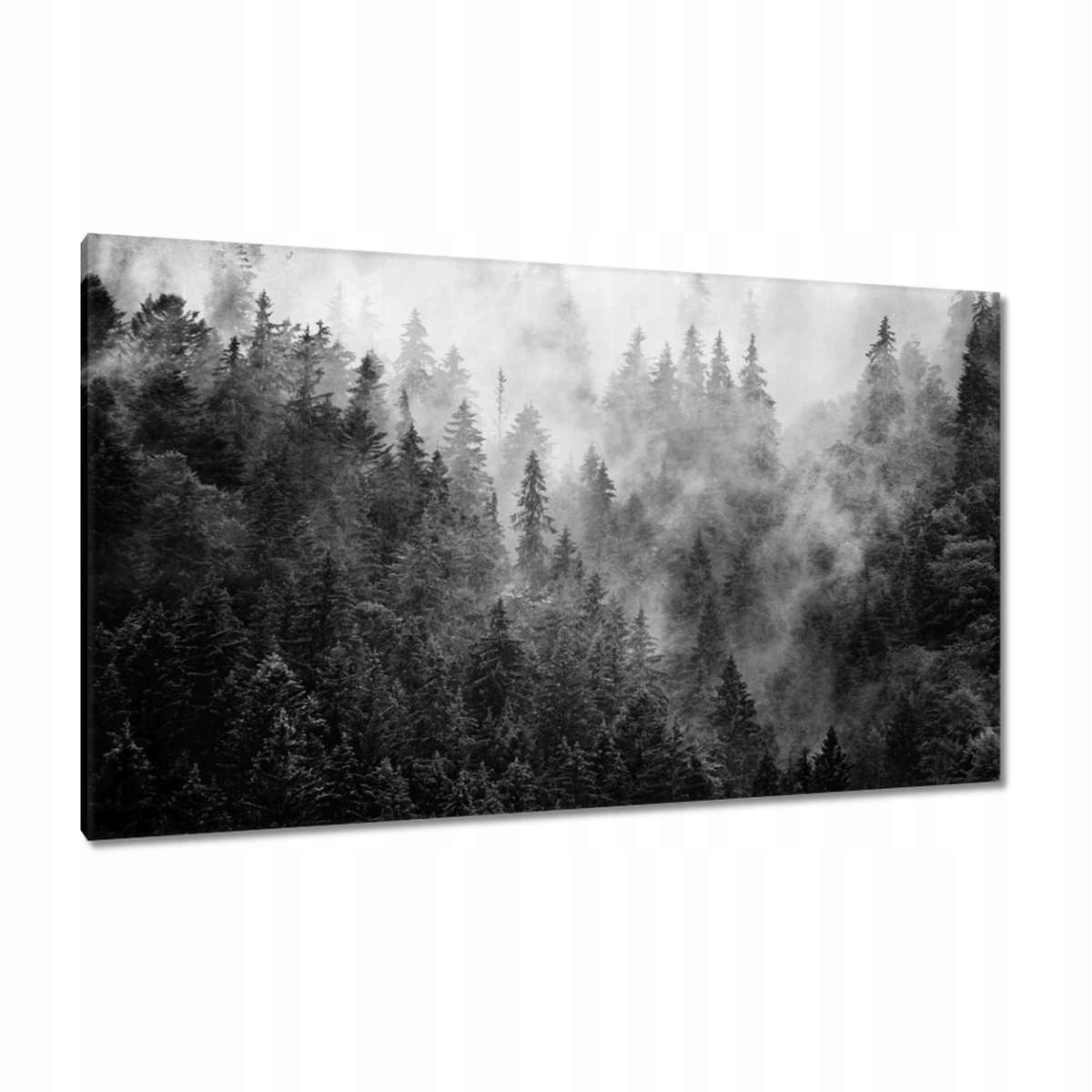 Obrazy 120x70 Krajina Šedá Hory Mlha