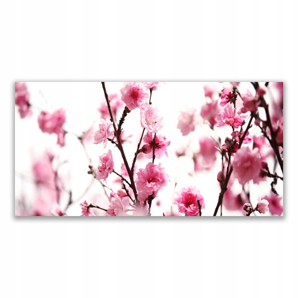 

Fotoobraz z grafiką 120x60 Gałęzie Kwiaty Roślina