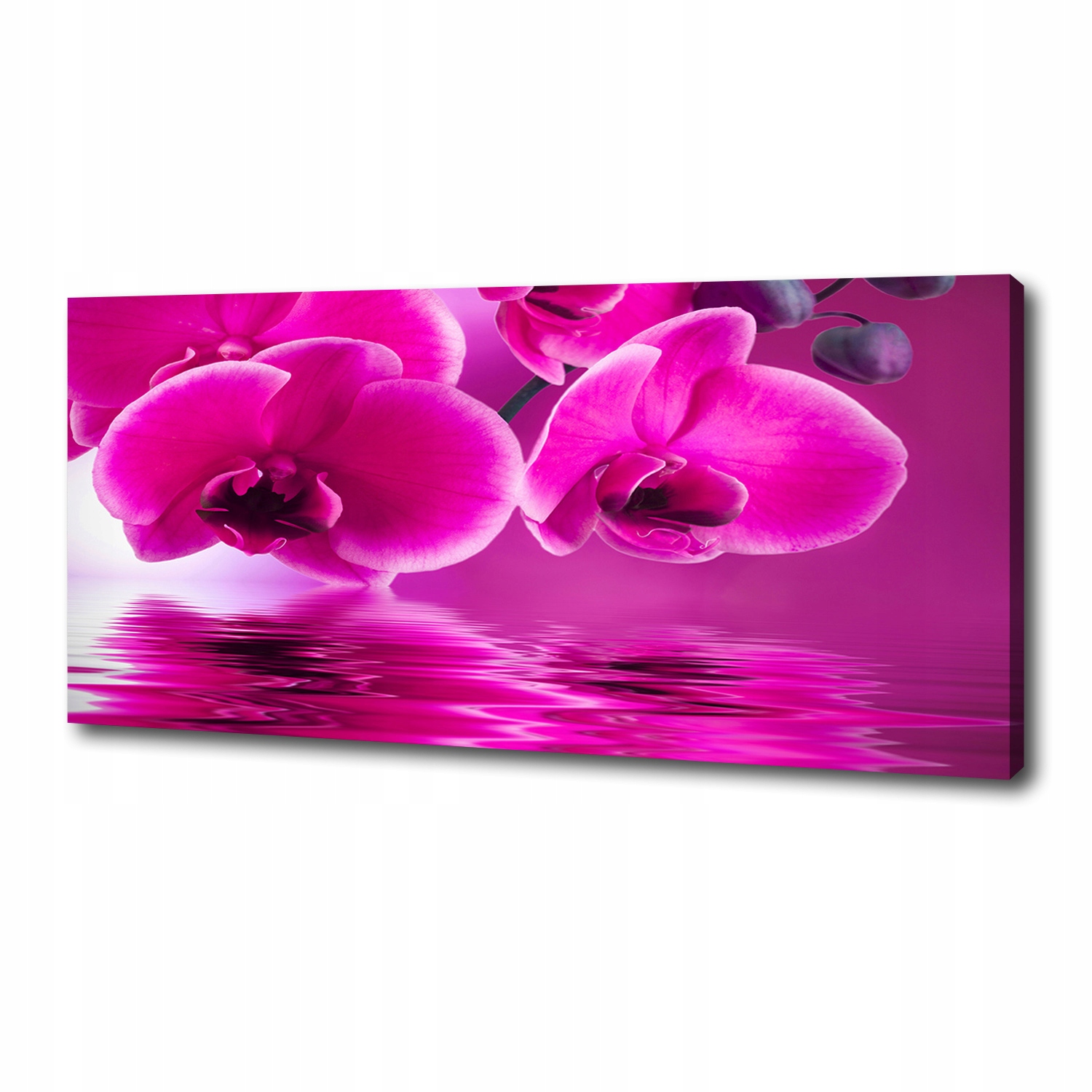 

Foto obraz canvas na ścianę Orchidea 125x50 cm