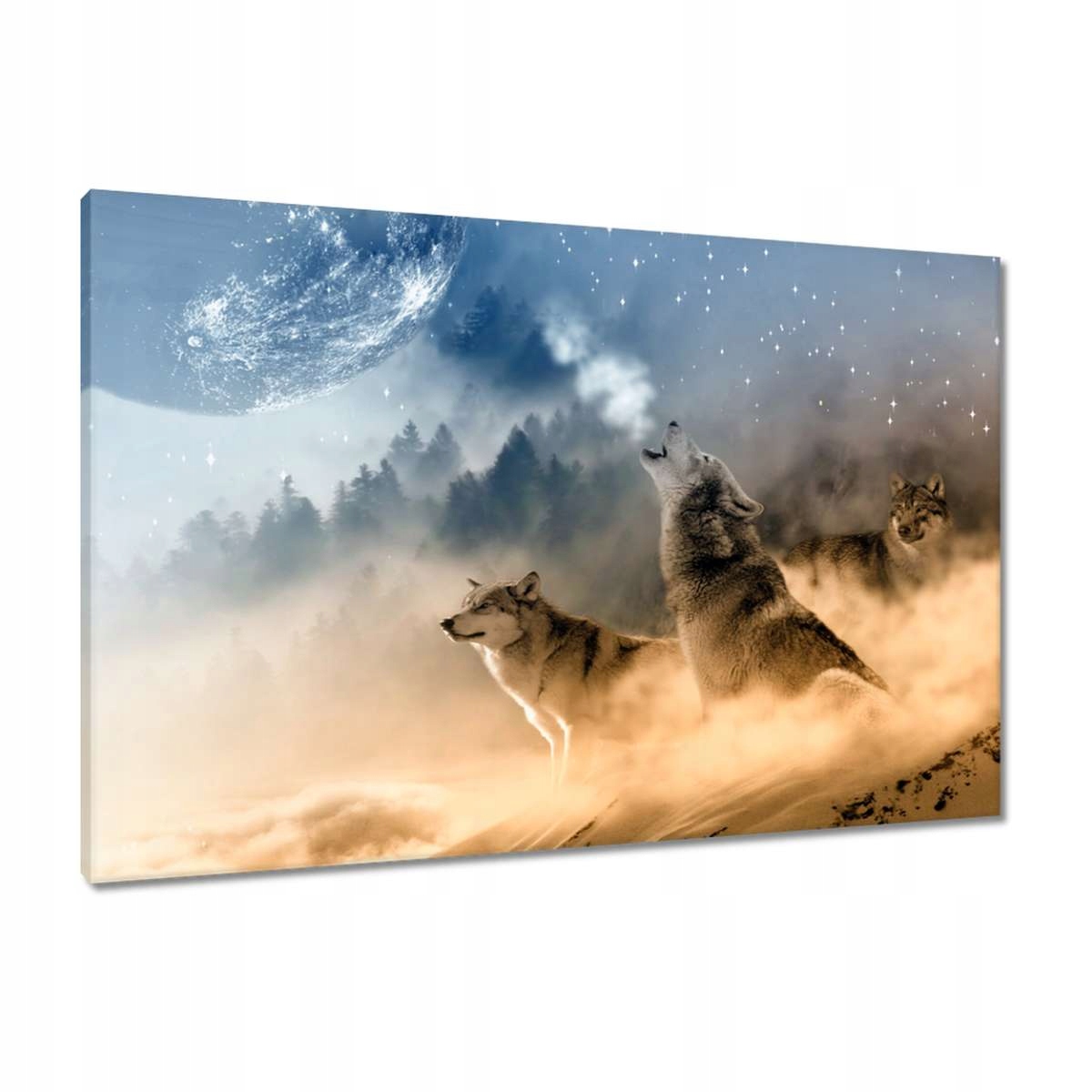 Obrazy 90x60 Vlk vyjící k měsíci