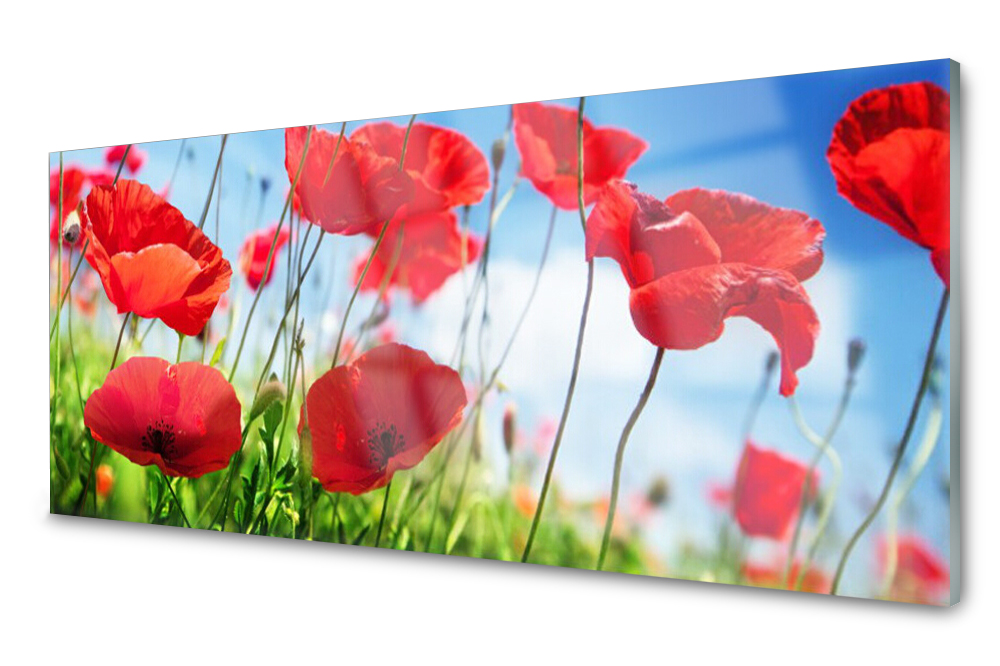 

Panel szklany do kuchni Maki Roślina 125x50