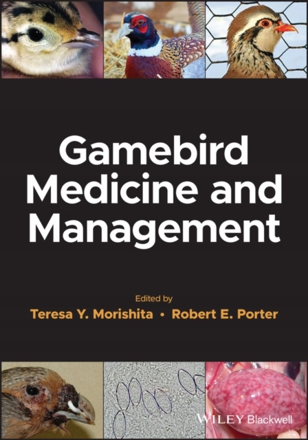 Gamebird Medicine and Management group work
