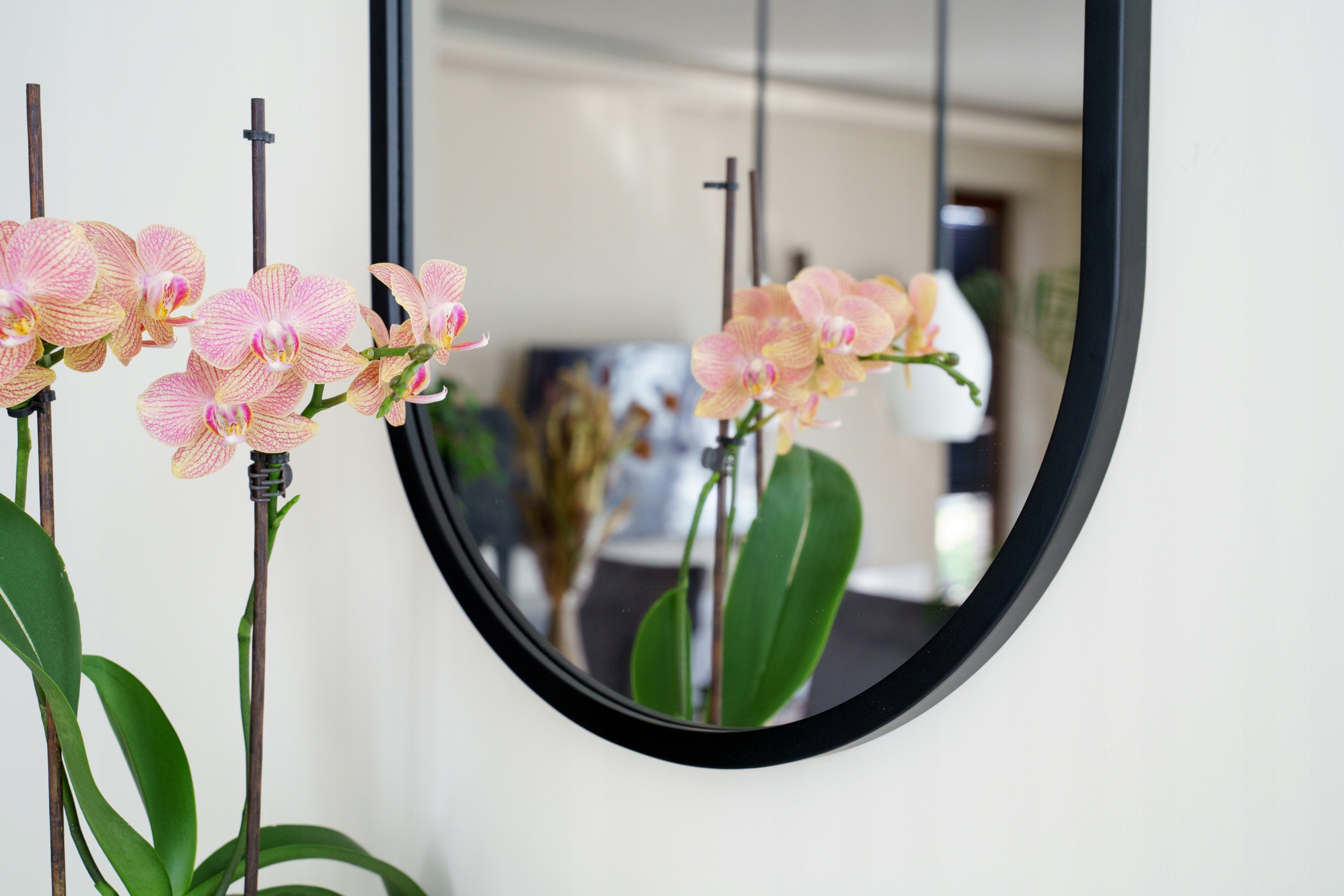 LUSTRO ŁAZIENKOWE OWALNE W CZARNEJ RAMIE WISZĄCE 75x40 CM - DUŻY WYBÓR Kod producenta 8693596468785