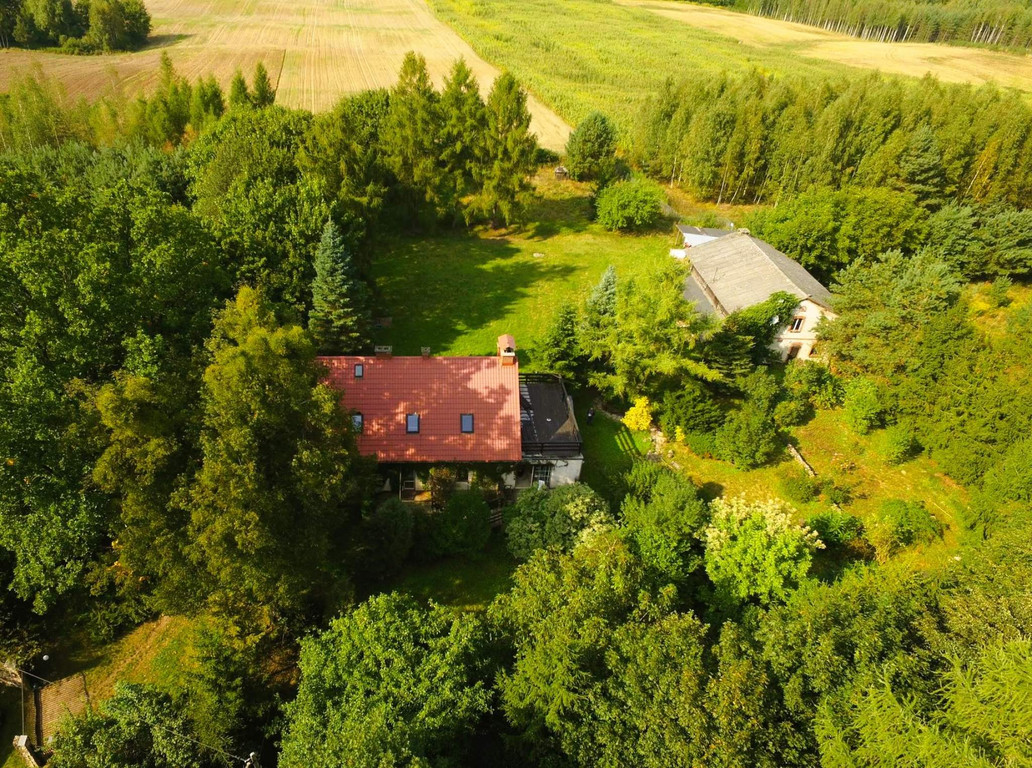 Dom, Kalwa, Grunwald (gm.), 210 m² Kalwa Pow. ostródzki (11794272912