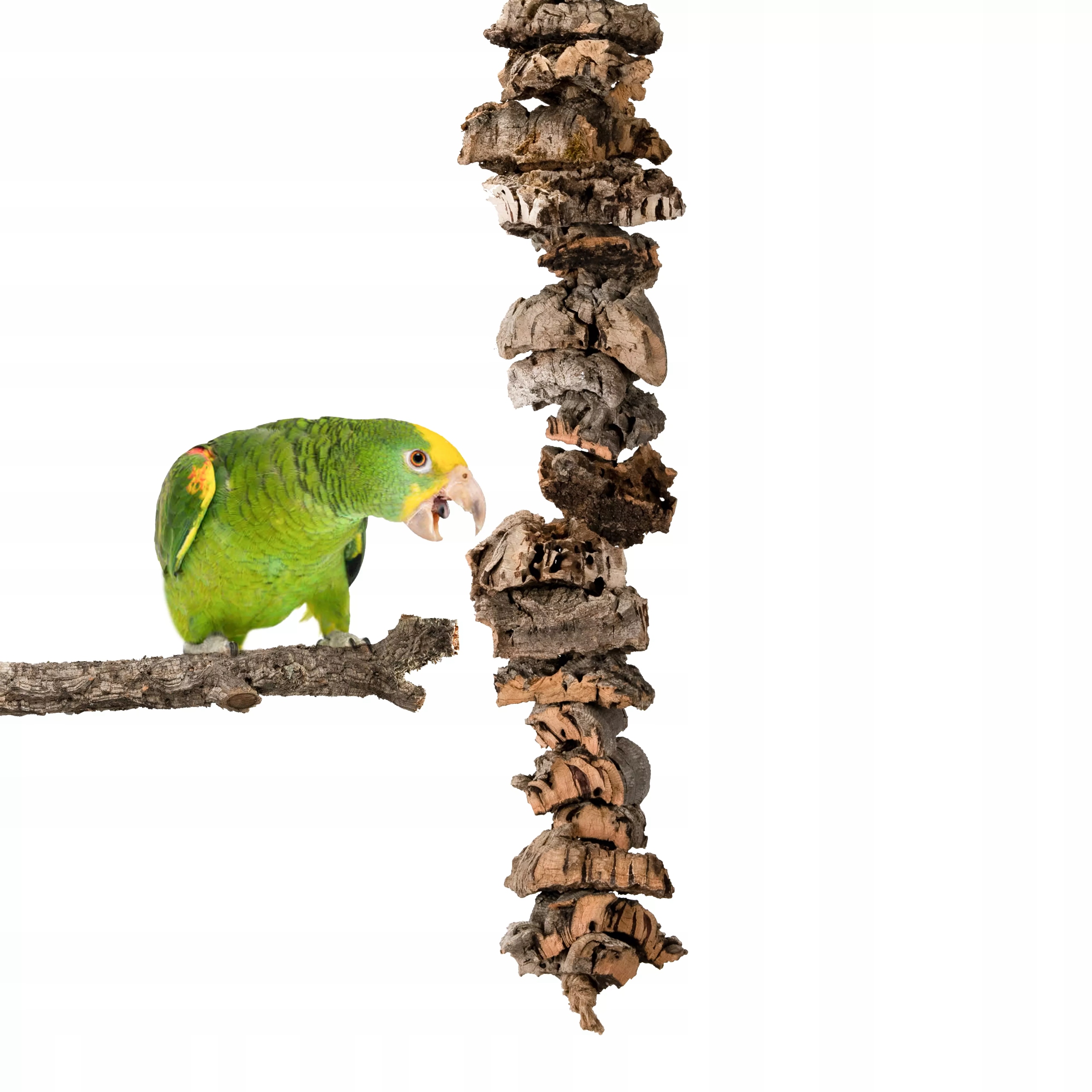 Levně Houpačka Bioterr 6 x 60 cm