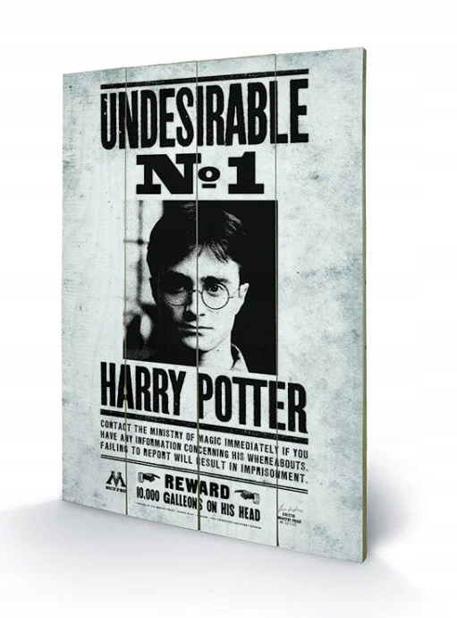 Harry Potter Tisk na dřevo 40X59 Nežádoucí č. 1