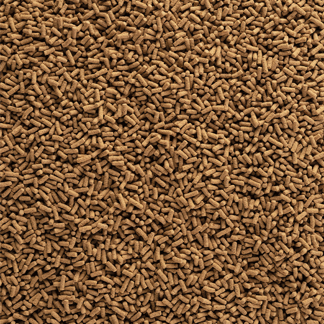 TETRA POND WHEATGERM STICKS 10l Na wiosnę/jesień Kod producenta T138278