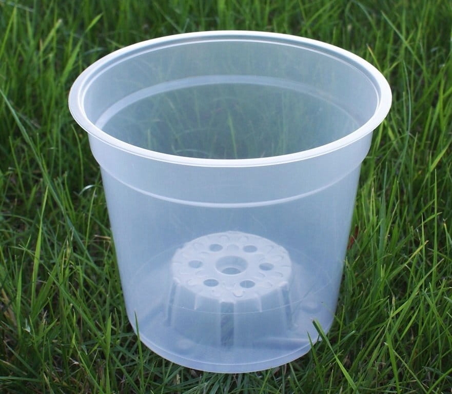 DONICZKA do uprawy STORCZYKA transparentna 15cm Marka inna