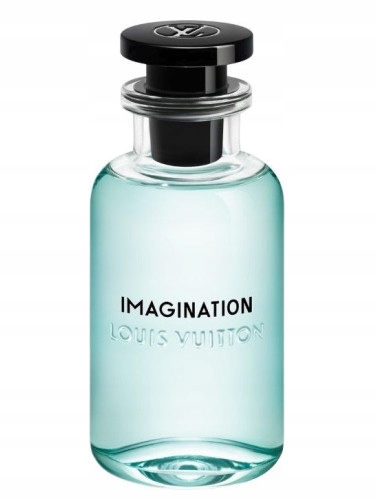 Louis Vuitton Imagination Edp 100 ml pro muže