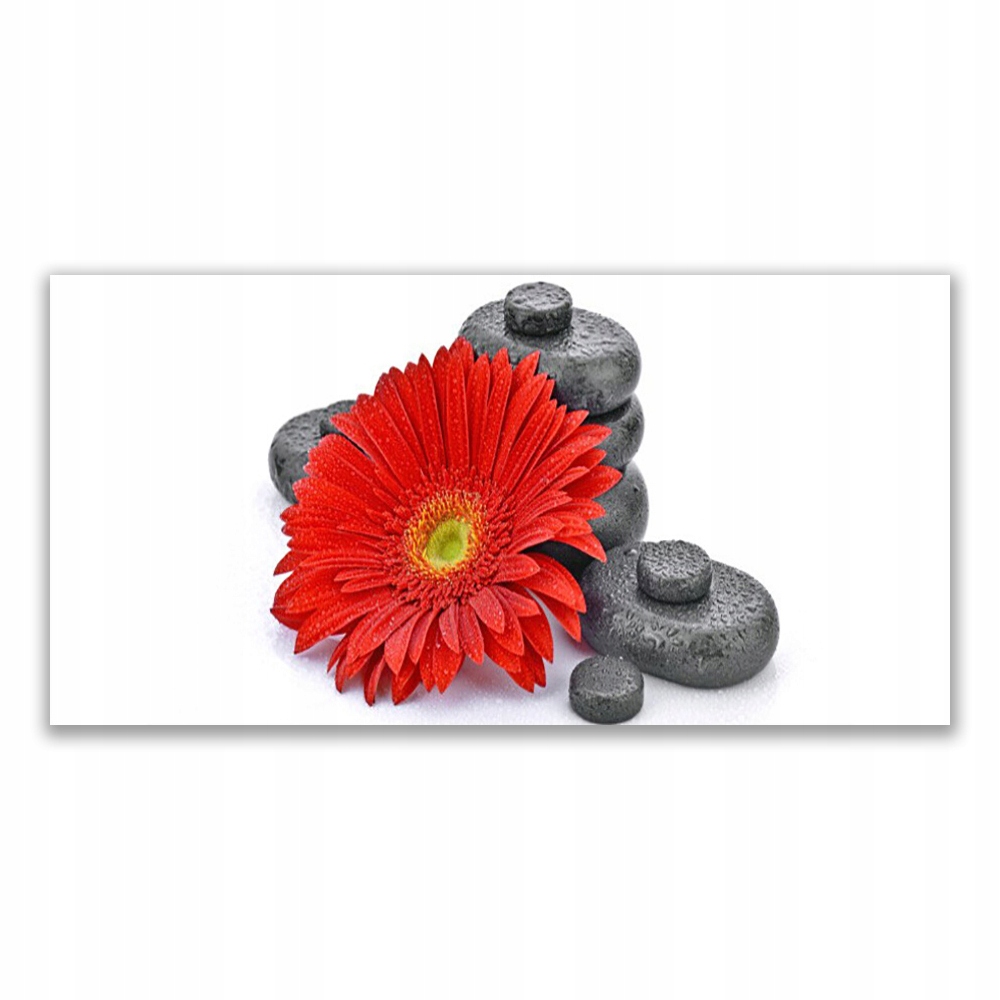 

Obraz akryl wiszący 120x60 Kwiaty Czerwona Gerbera