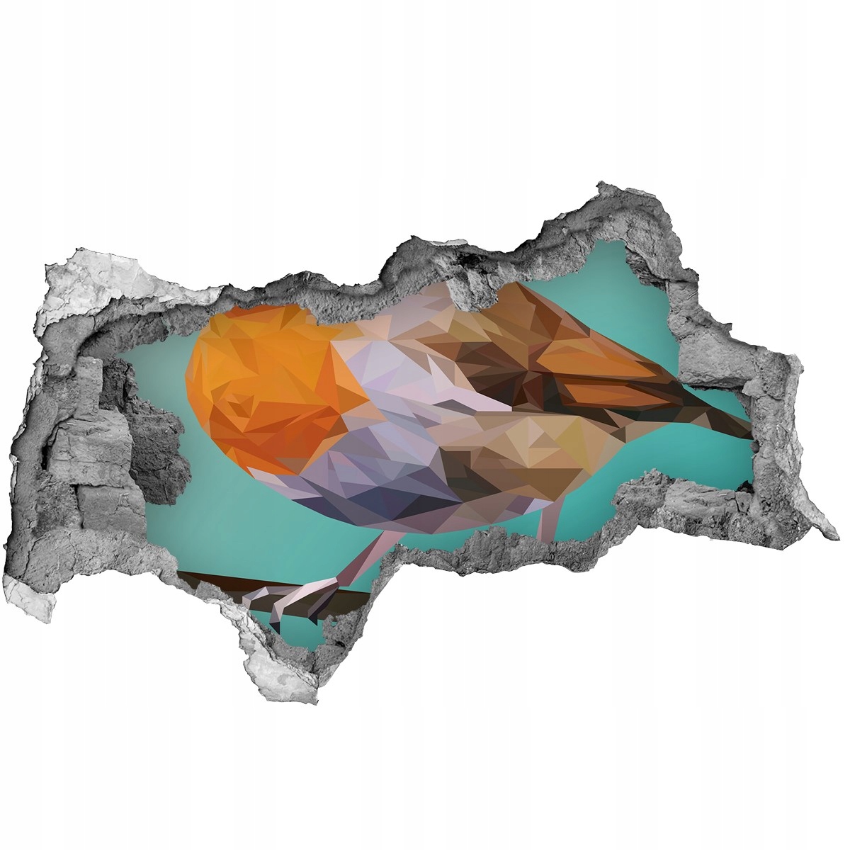 

Dziura 3d fototapeta Naklejka Ptak Rudzik 95x73