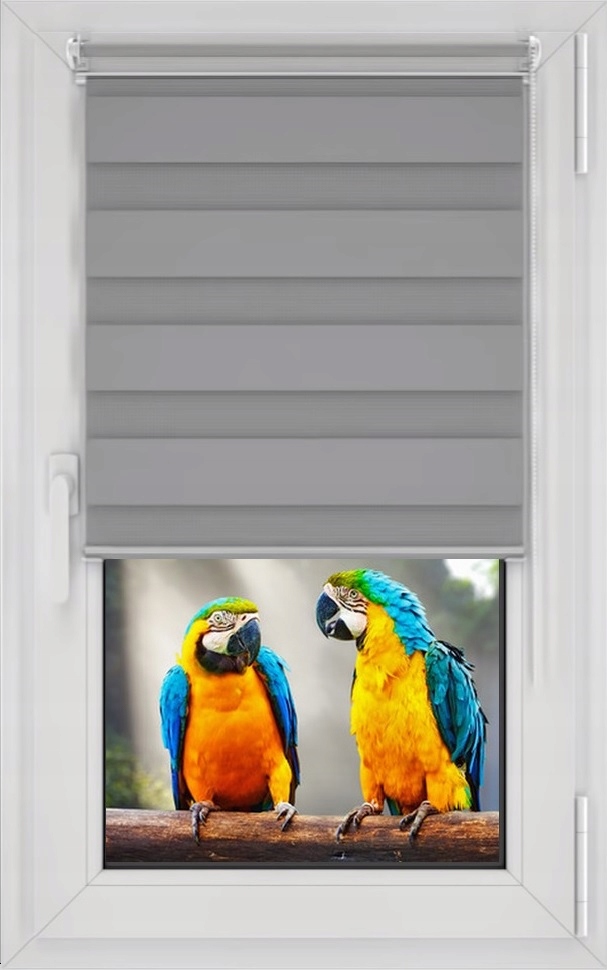 

Roleta Dzień Noc Dużo Kolorów Każdy Wymiar 49x160