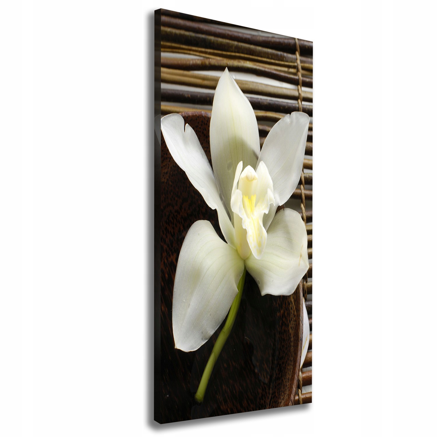

Foto obraz na płótnie do salonu Orchidea 50x125 cm