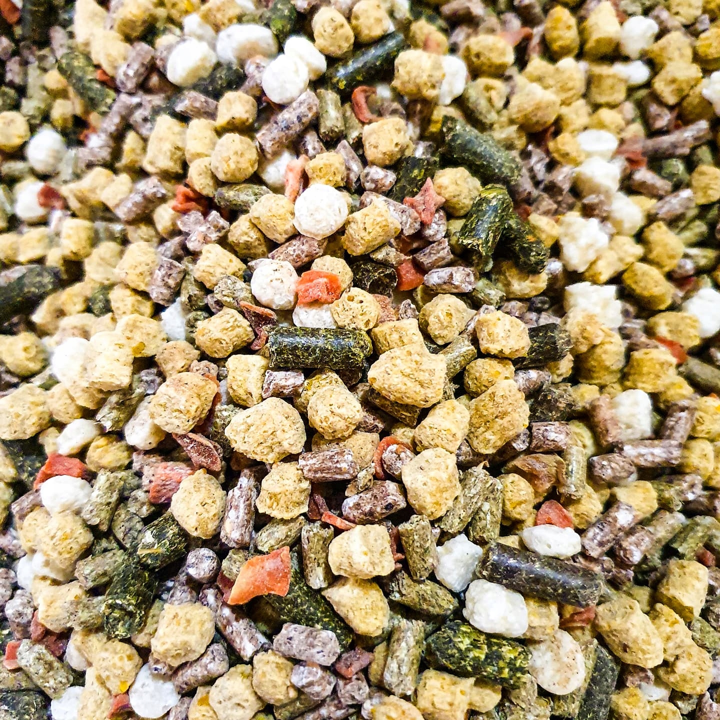 Pasza Dla Koni "Rekreacyjnych" Energy Control Golden Solution 4 Horses 20KG Kod producenta Energy Control