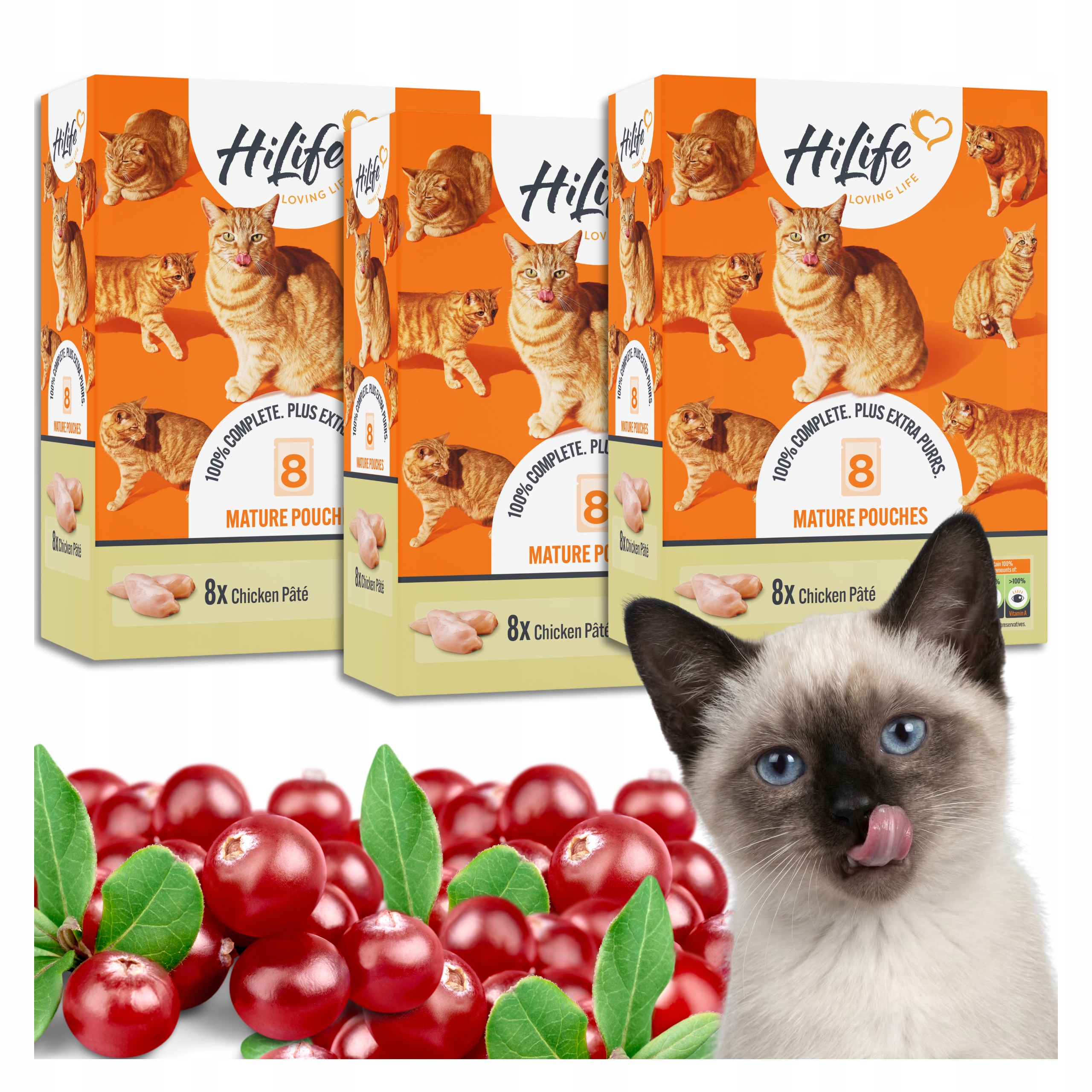 Karma Mokra dla Kota w saszetkach z Kurczakiem Pate Hilife 24 X 70 G