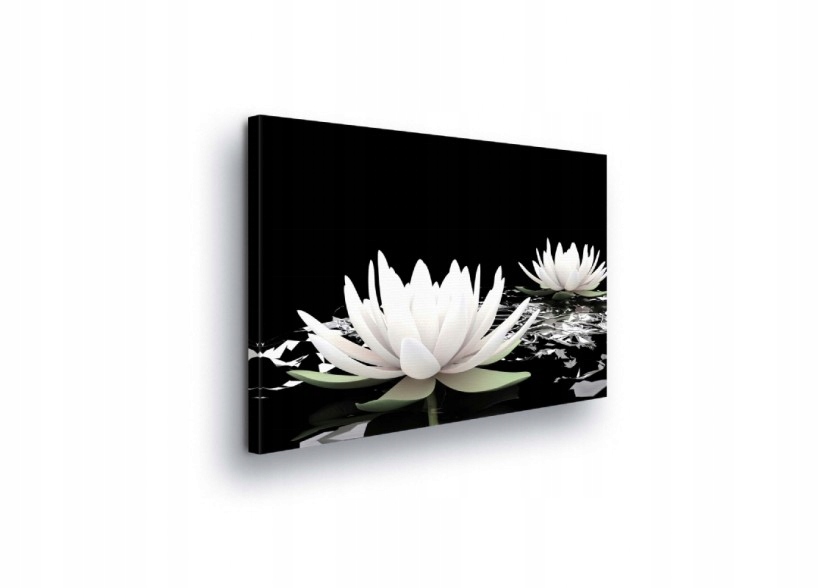 Obraz 100x75 Bílý lotos leknín klid harmonie zenová meditace