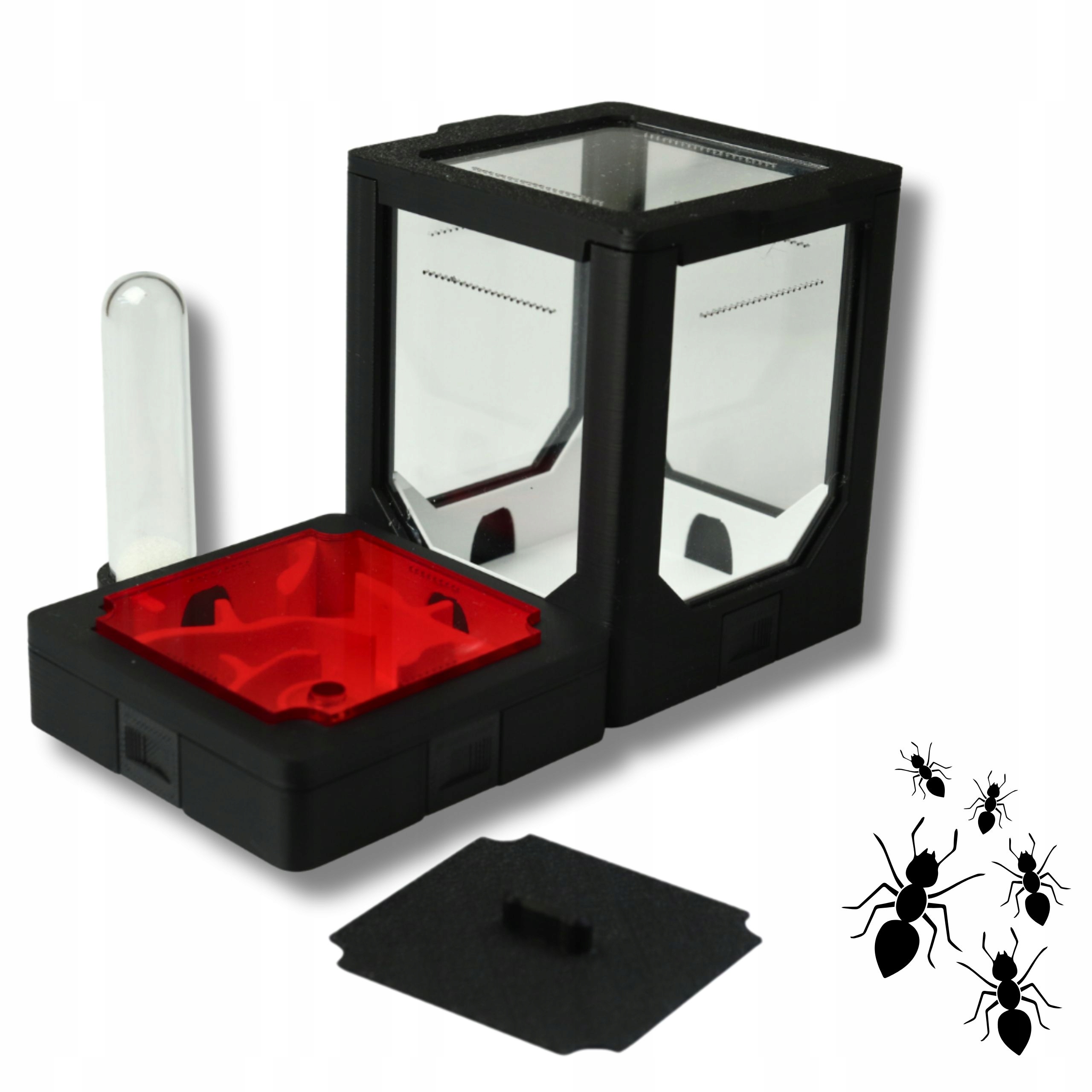 Formikarium Modułowe BlackAnt- zestaw nr 1 do hodowli mrówek w domu.