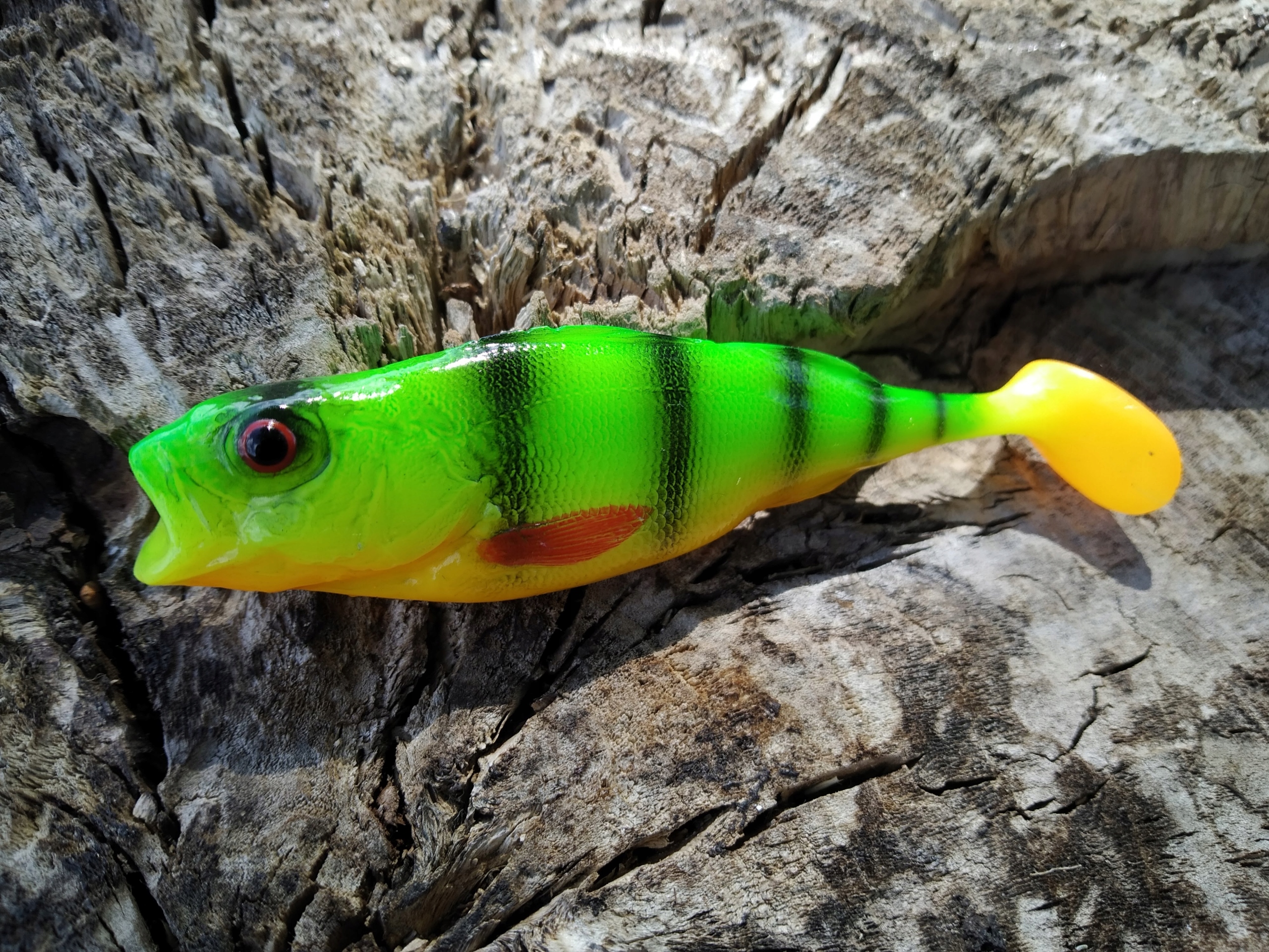 SEWRO CUSTOM OKOŃ seledyn I 8,5cm