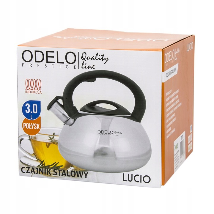 czajnik stalowy LUCIO 3l połysk ODELO | OD1735 — 3